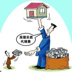 房产中介爆料的真实视频,视频曝光惊人真相！  第3张